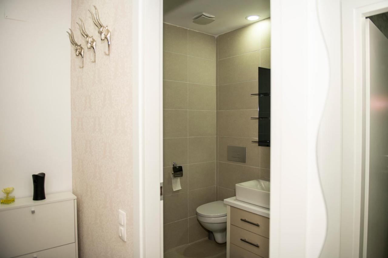 Raphael Apartment North Bucharest Cosmopolis Stefanestii de Jos Екстериор снимка