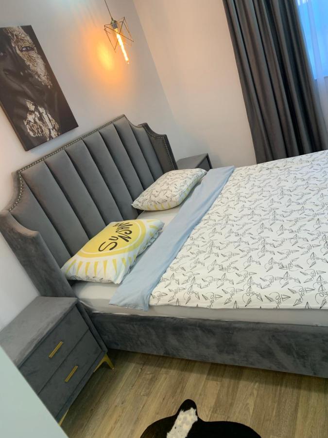 Raphael Apartment North Bucharest Cosmopolis Stefanestii de Jos Екстериор снимка